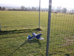 fliegen0803 8